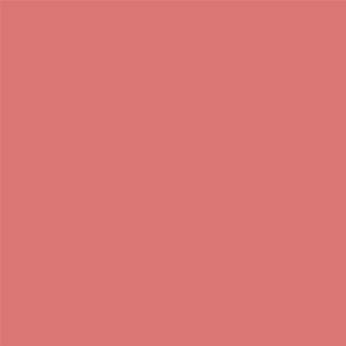 Kit Rubor Y Gloss Pink New